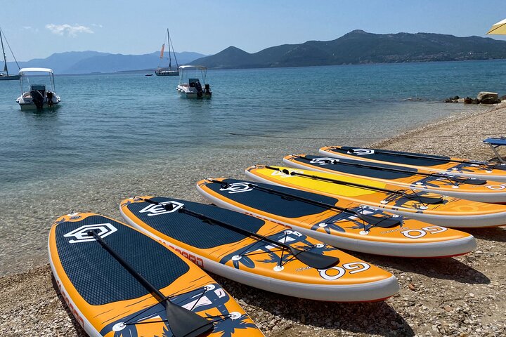 dolphin paleros rent a SUP